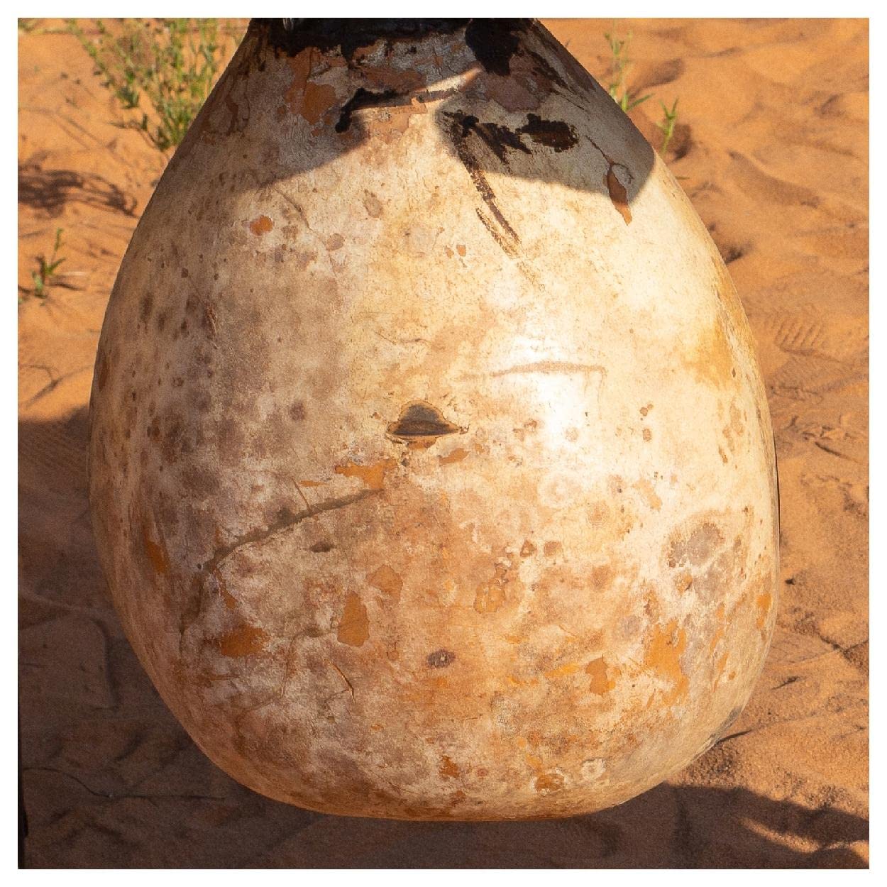 Everwilde Farms - 1 Lb Bushel Gourd Seeds - Gold Vault | Premium Decorative & Craft Gourds for Fall Decor, Thanksgiving Centerpieces, and DIY Projects