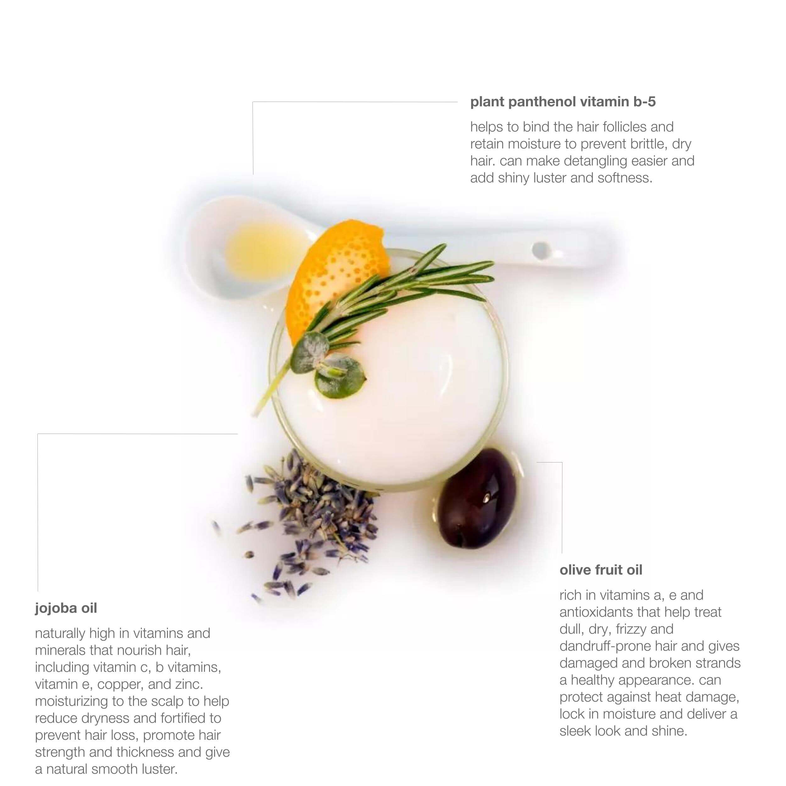 French Lavender Smoothing Hair Conditioner for Dry & Damaged Hair - Hydrating & Nourishing Treatment for Soft, Shiny Hair - Perfect for Daily Use & Salon-Quality Results at Home