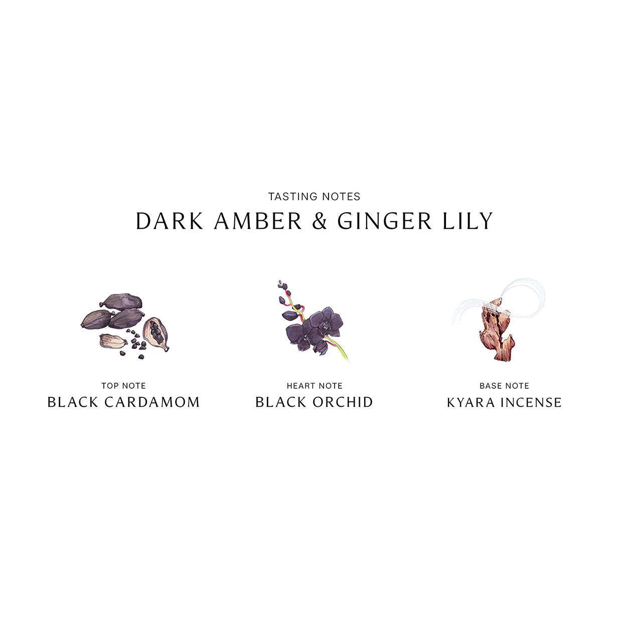 Jo Malone Dark Amber & Ginger Lily Cologne Intense - Luxury Unisex Perfume for Men & Women, Perfect for Date Nights & Special Occasions