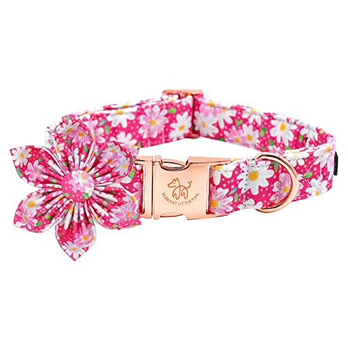 Pink Floral