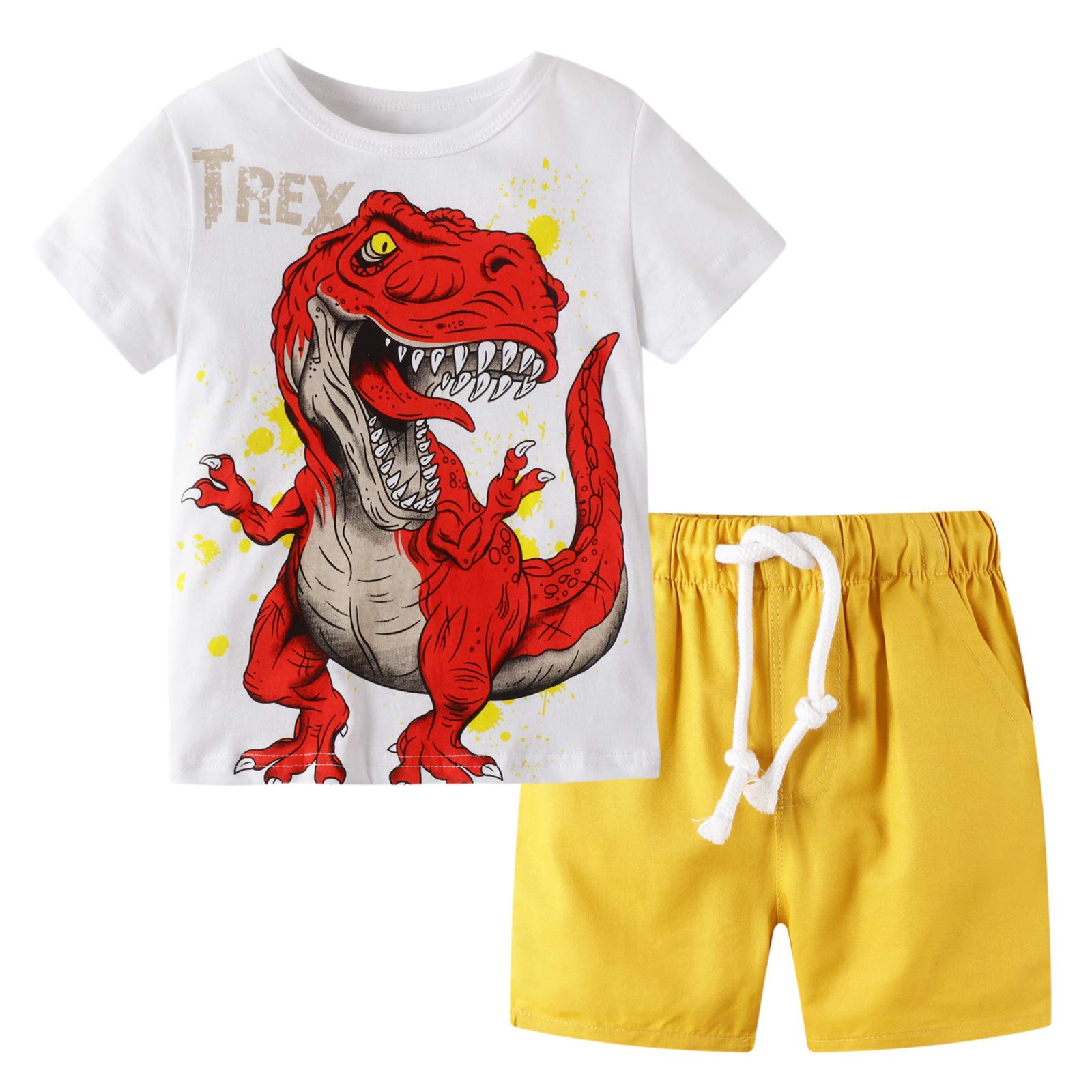 BIBNice Boys Summer Outfits 2-7T - Cool Toddler Short Sleeve Shirt & Shorts Set for Playground, Beach & Outdoor Activities