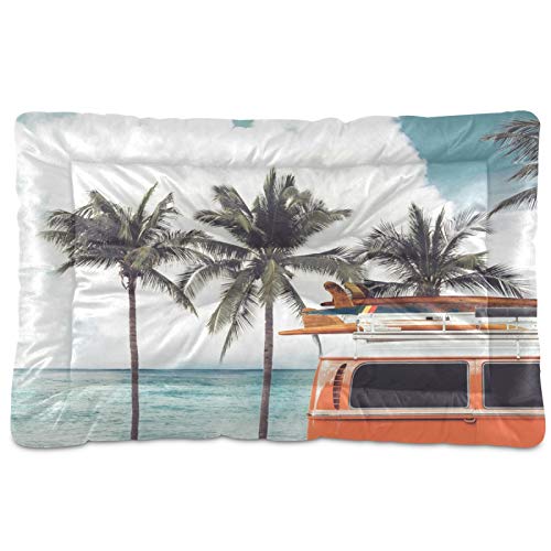 Summer Beach