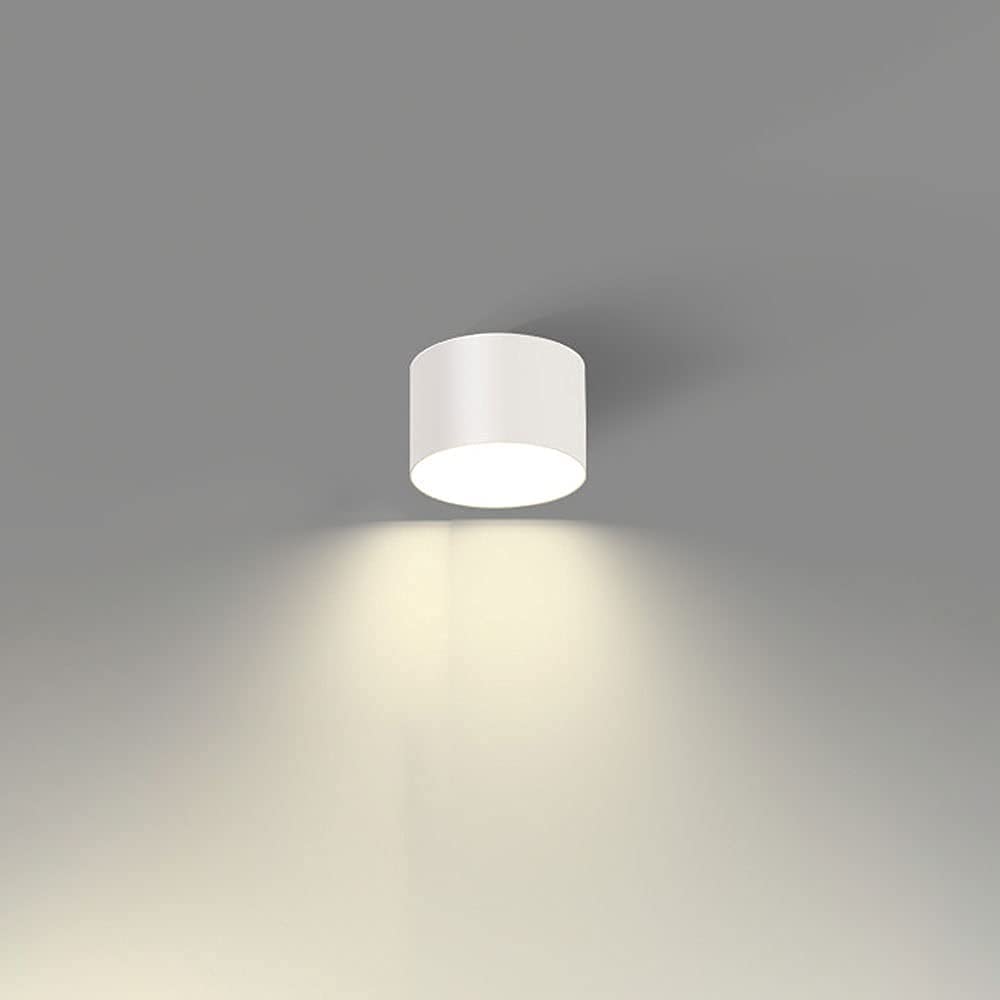 Modern LED Surface Mount Downlight Ceiling Spotlight - Mini Cabinet Lighting Fixture, Nordic Round Ceiling Downlights for Living Room, Hallway, Corridor (White) - Perfect for Accent Lighting in Homes & Offices