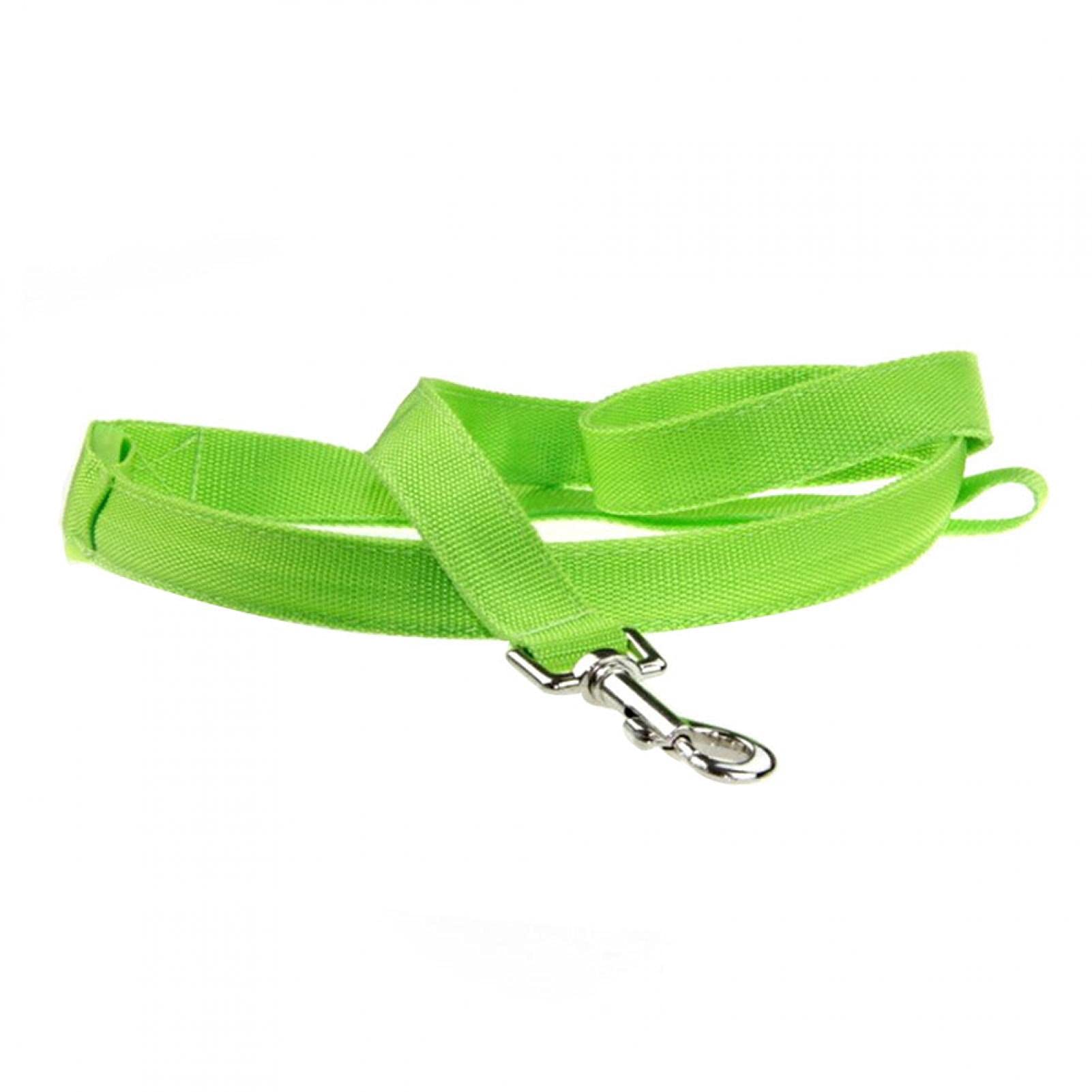 USB Rechargeable LED Dog Leash - Glowing Green Light Up Leash for Night Walks & Safety | Waterproof Reflective Pet Walking Accessories for Small Medium Large Dogs | Perfect for Evening Jogging, Camping & Low Visibility Conditions