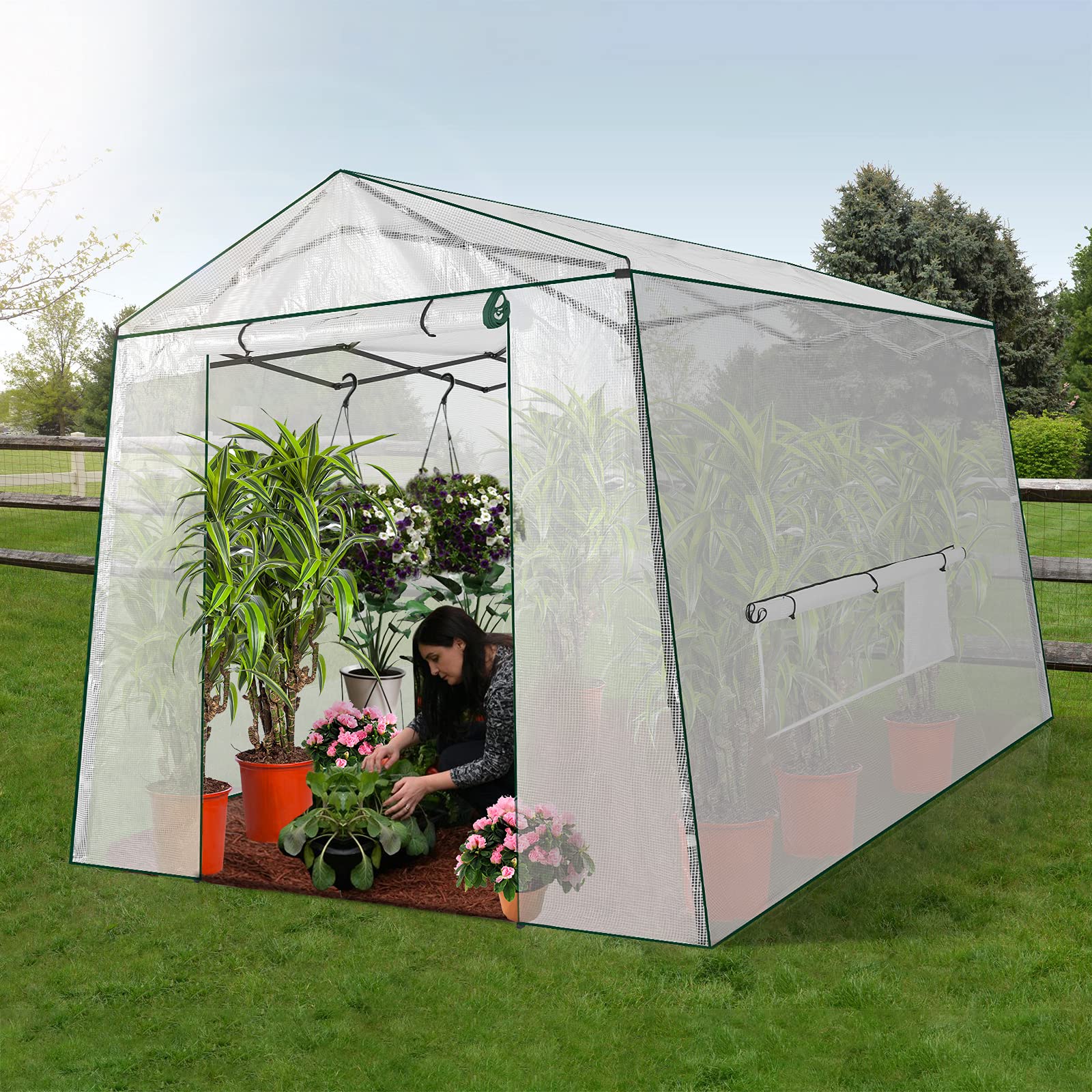 8.5 Ft x 7 Ft Walk-in Greenhouse with Roll-up Zipper Doors & 3 Large Windows - Portable Pop-up Outdoor Plant Canopy for Gardening, Vegetables & Flowers (Medium, Clear) | Perfect for Backyard, Patio & Small Farm Use