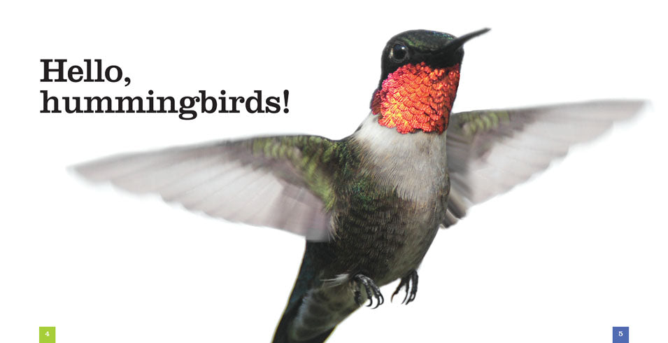 Hummingbirds Book - ISBN 9781608187379 | Fascinating Facts & Stunning Photos - Perfect for Bird Lovers & Nature Enthusiasts