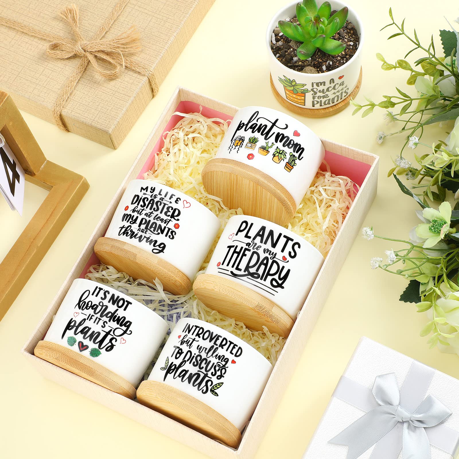 6-Piece Funny Succulent Plant Pots with Bamboo Tray - Cute Ceramic Planters for Succulents, Perfect Teacher Gifts for Graduation, Birthday & Office Decor (Cute Style) | Ideal for Home, Office Desk & Classroom Decorations