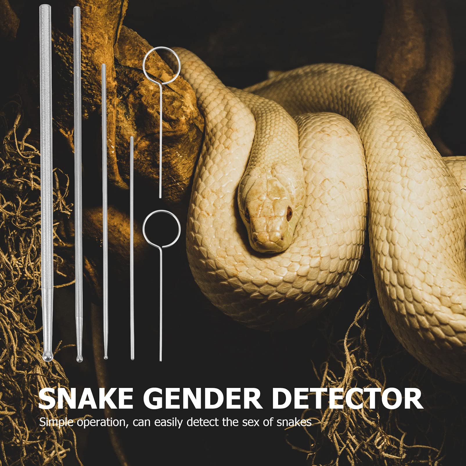 Balacoo Amphibia 6-Piece Snake Probe Kit with Round Tips - Professional Reptile Sexing Probes for Snakes, Lizards & Exotic Pets | Perfect for Breeders, Veterinarians & Herpetologists
