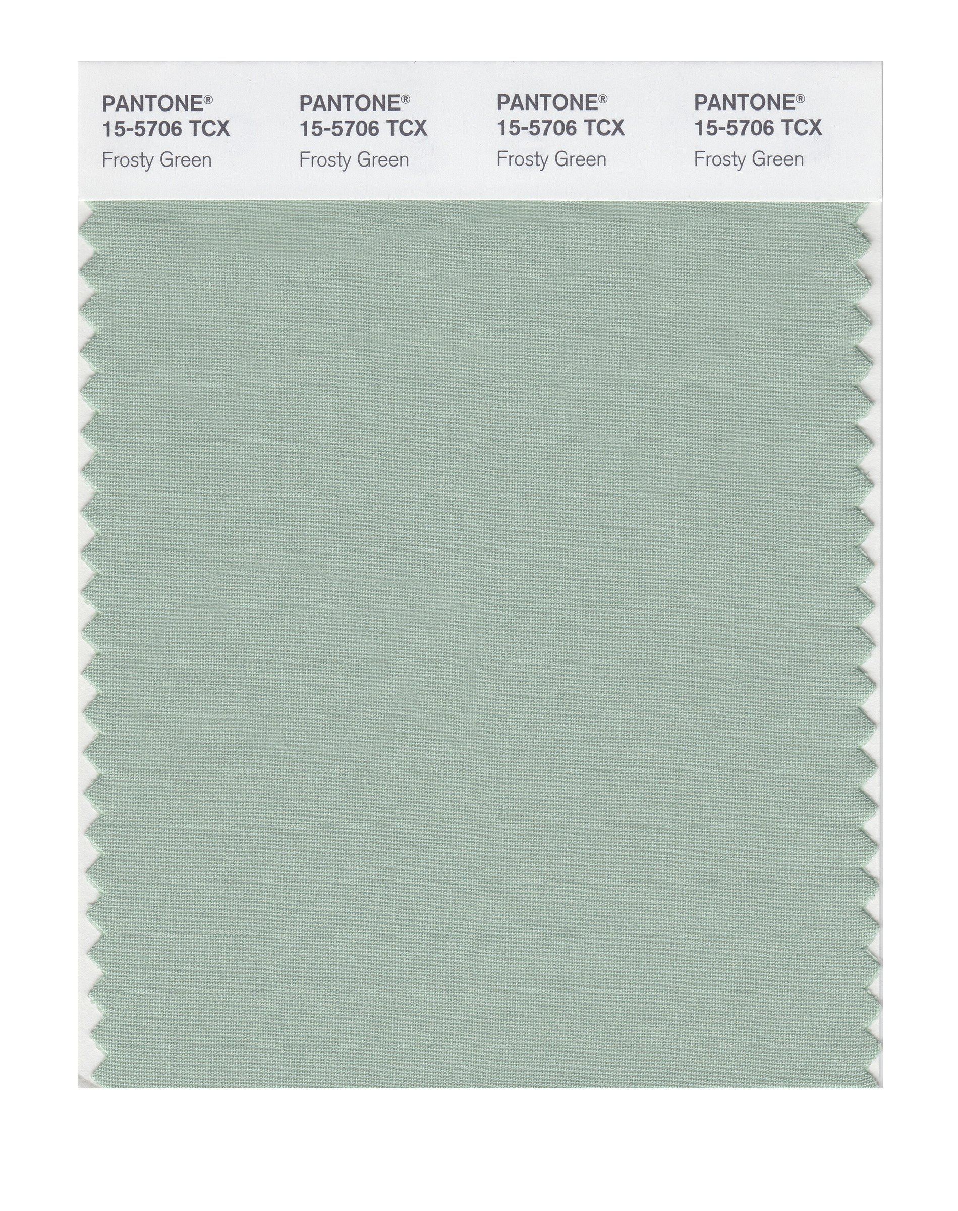PANTONE Smart 15-5706X Frosty Green Color Swatch Card | Professional Design Tool for Graphic Artists, Fashion Design & Home Decor | Perfect for Color Matching in Branding, Packaging & Interior Design