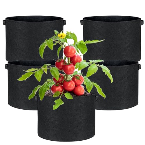 Black 3 Gallon