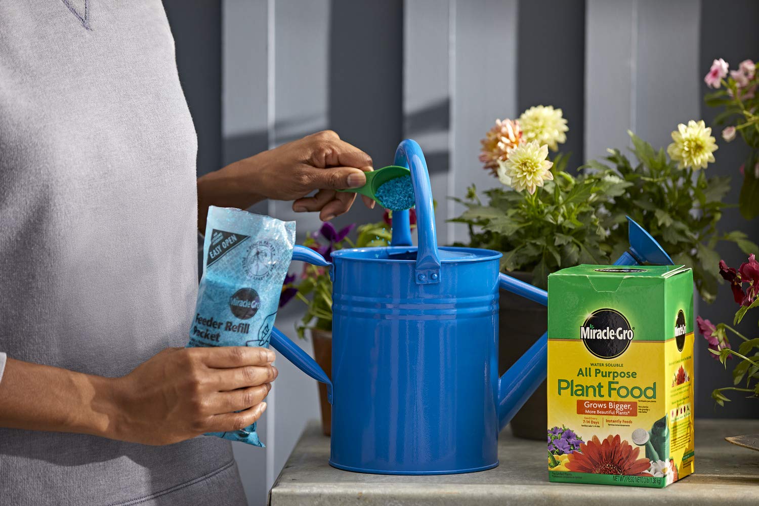 Miracle-Gro All Purpose Plant Food Fertilizer - 6 Pack (3 lb Each) for Indoor & Outdoor Plants, Vegetables, Flowers | Perfect for Gardening, Lawn Care, and Houseplants