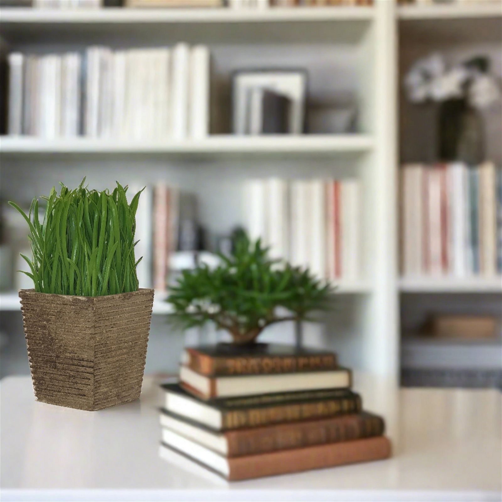 16cm Artificial Green Potted Plant - Realistic Fake Indoor Plant for Home & Office Decor by Criterion - Perfect for Living Room, Desk, Shelf or Gift