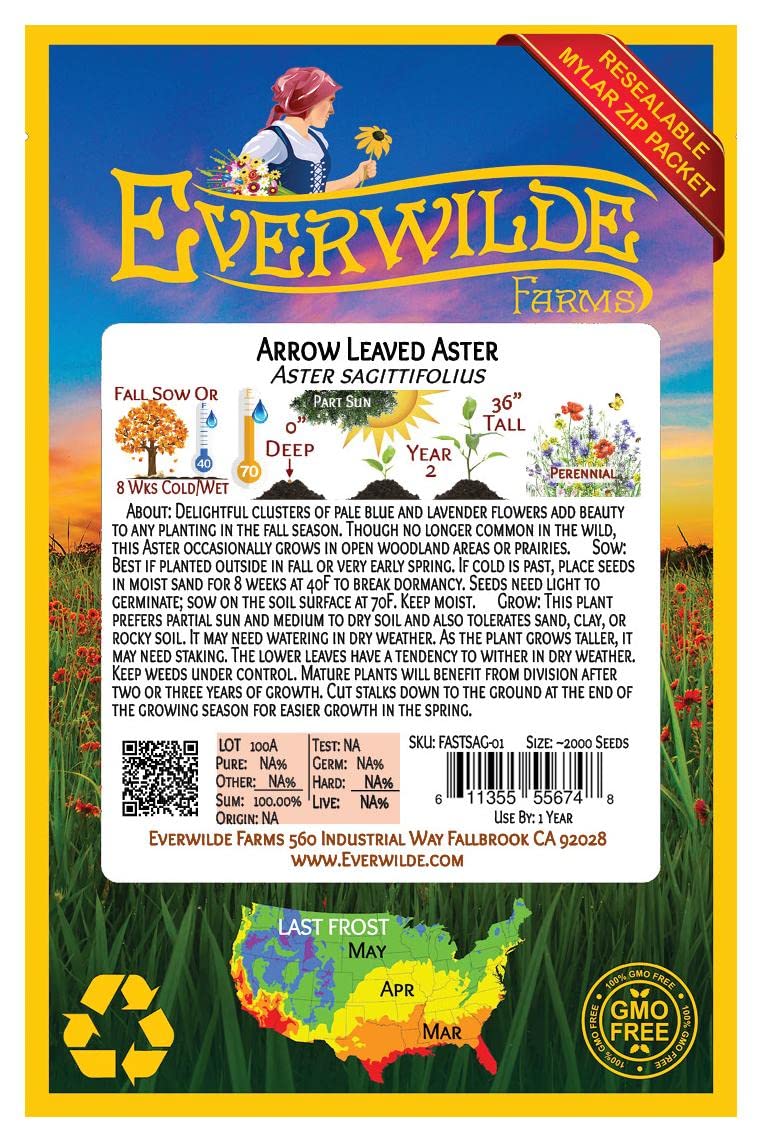Everwilde Farms - 2000 Arrow-leaved Aster Native Wildflower Seeds - Gold Vault Seed Packet for Pollinator Gardens & Natural Landscaping