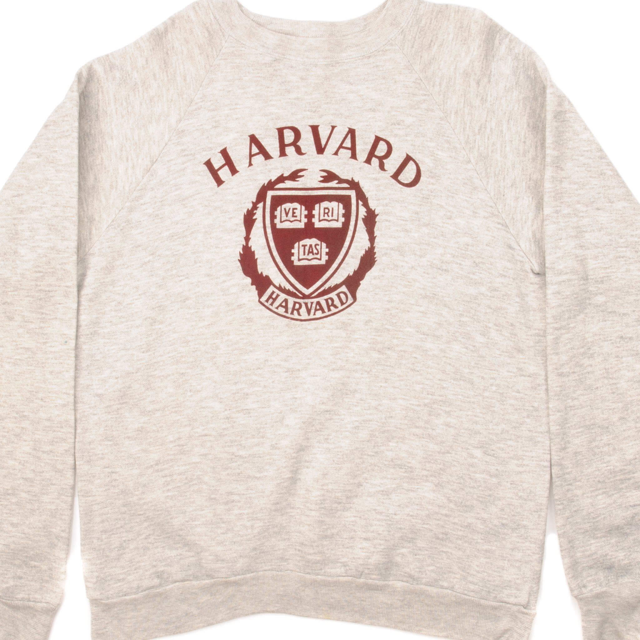 Vintage Champion Harvard University Sweatshirt 1980s 1990s Size Large Made in USA - Retro College Apparel for Casual Wear & Street Style