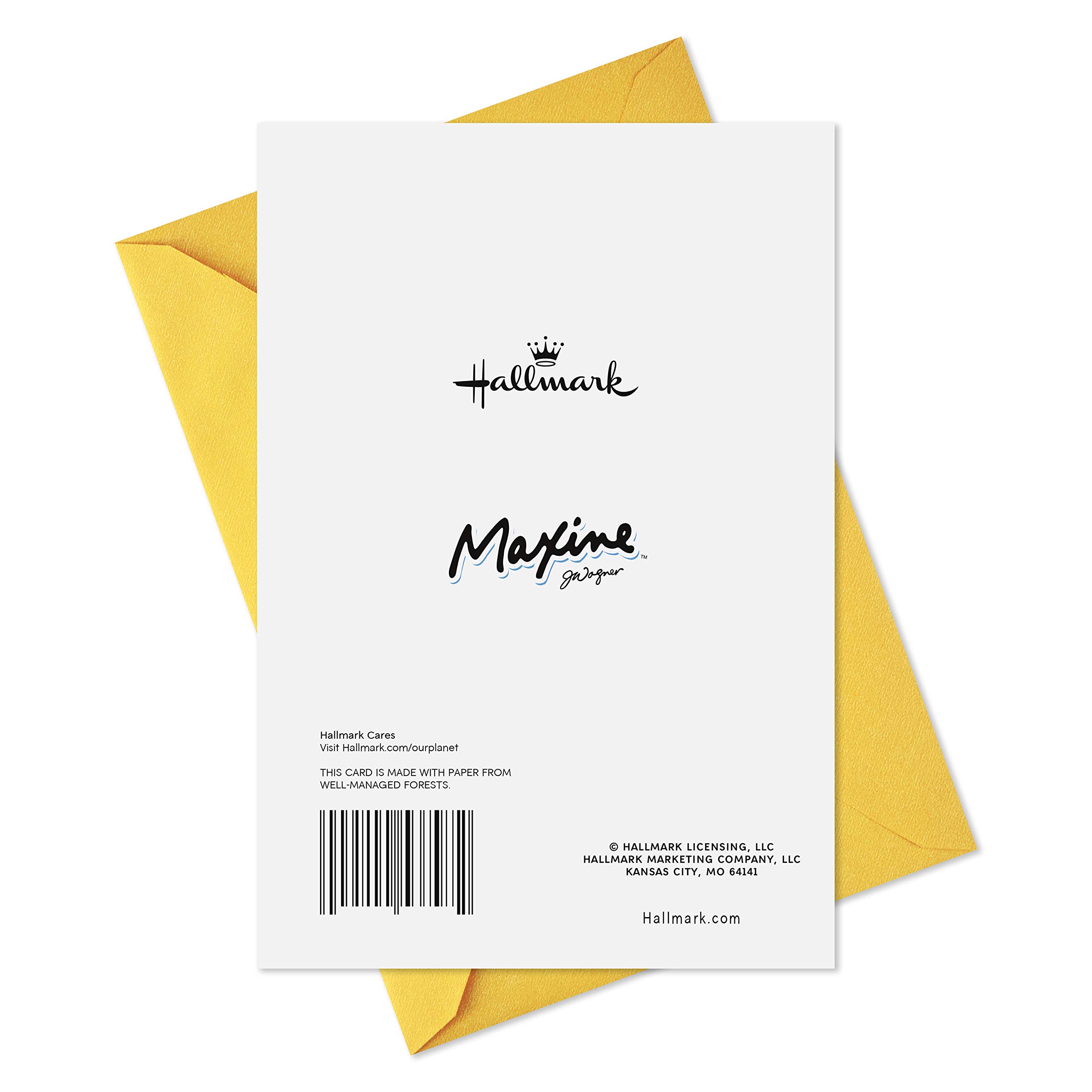 Hallmark Maxine Funny Birthday Cards Assortment - 5 Pack with Envelopes | Humorous Greeting Cards for Friends & Family | Perfect for Birthdays, Parties & Special Occasions