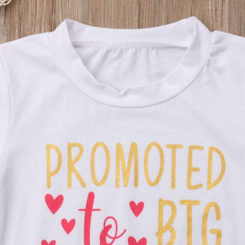 Matching Sibling Shirts - Big Brother & Sister Tees for Family Outings