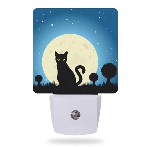 Halloween Black Cat Moon