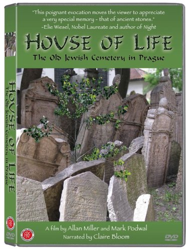House of Life - Premium Home Decor & Gifts for Housewarming, Wedding & Special Occasions | Perfect for Living Room, Bedroom & Office Decor