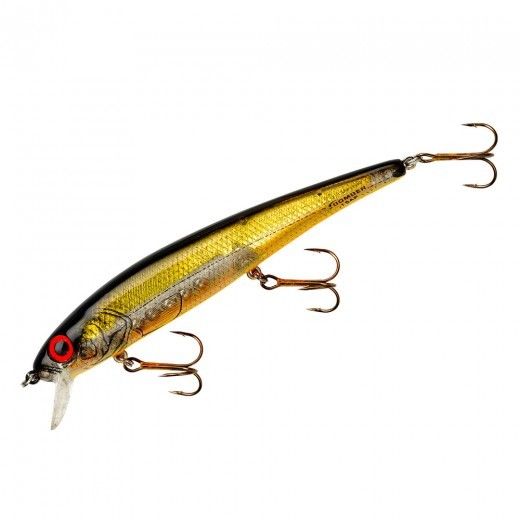 XMBO - Chrome/Black Back/Orange Belly