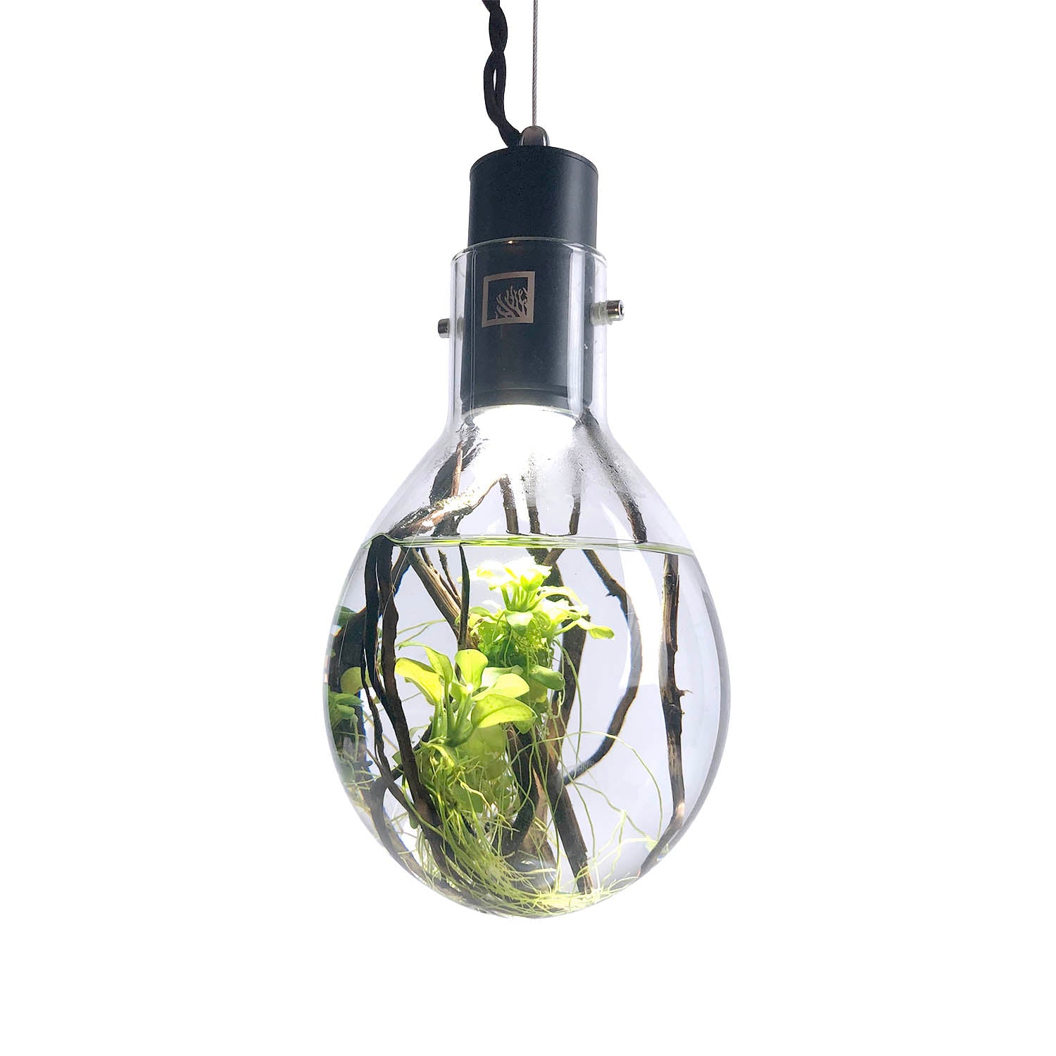 SR Aquaristik Small Hanging Luminarium Aquarium - Compact LED Nano Fish Tank for Home & Office Decor, Perfect for Betta Fish, Shrimp, or Small Aquatic Plants