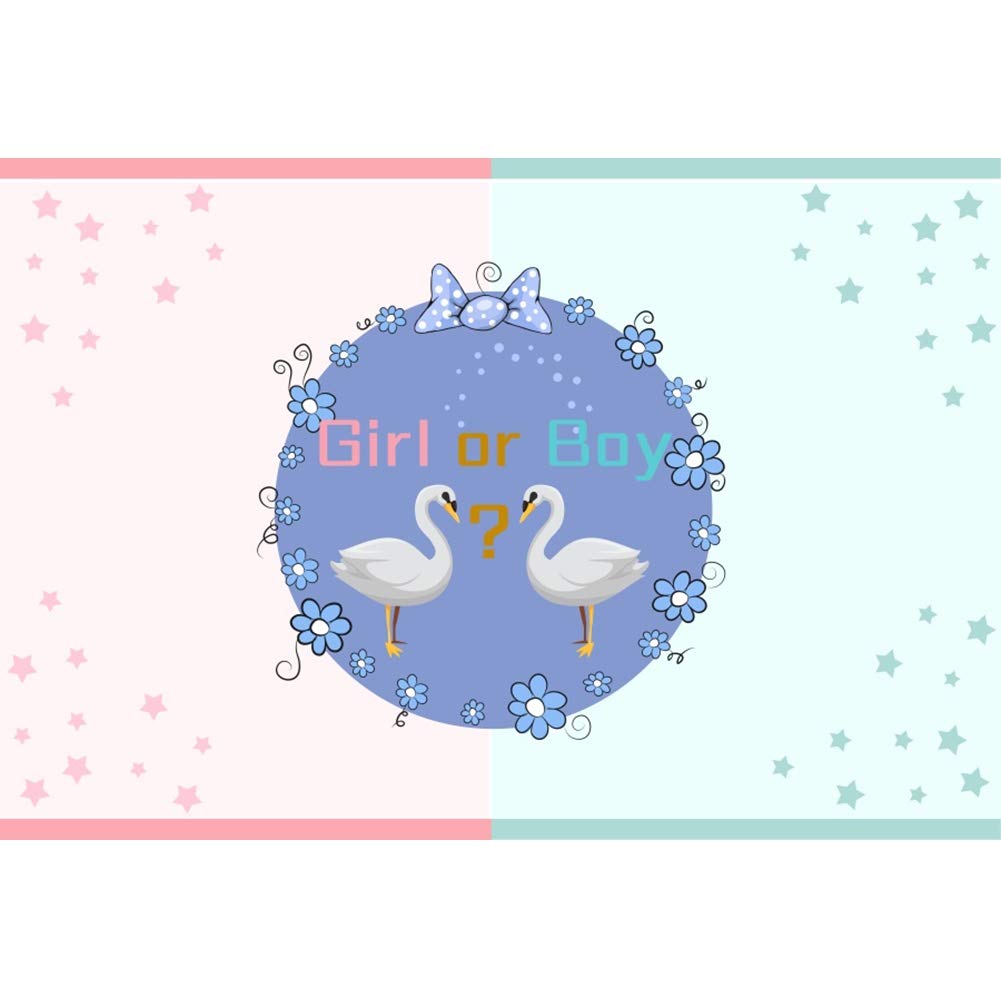 7x5ft Pink & Blue Cartoon Swan Backdrop for Gender Reveal Party, Baby Shower, Kids Photography - DORCEV Photo Studio Background for Boys & Girls (Perfect for Birthday Parties, Newborn Photos, and Family Portraits)