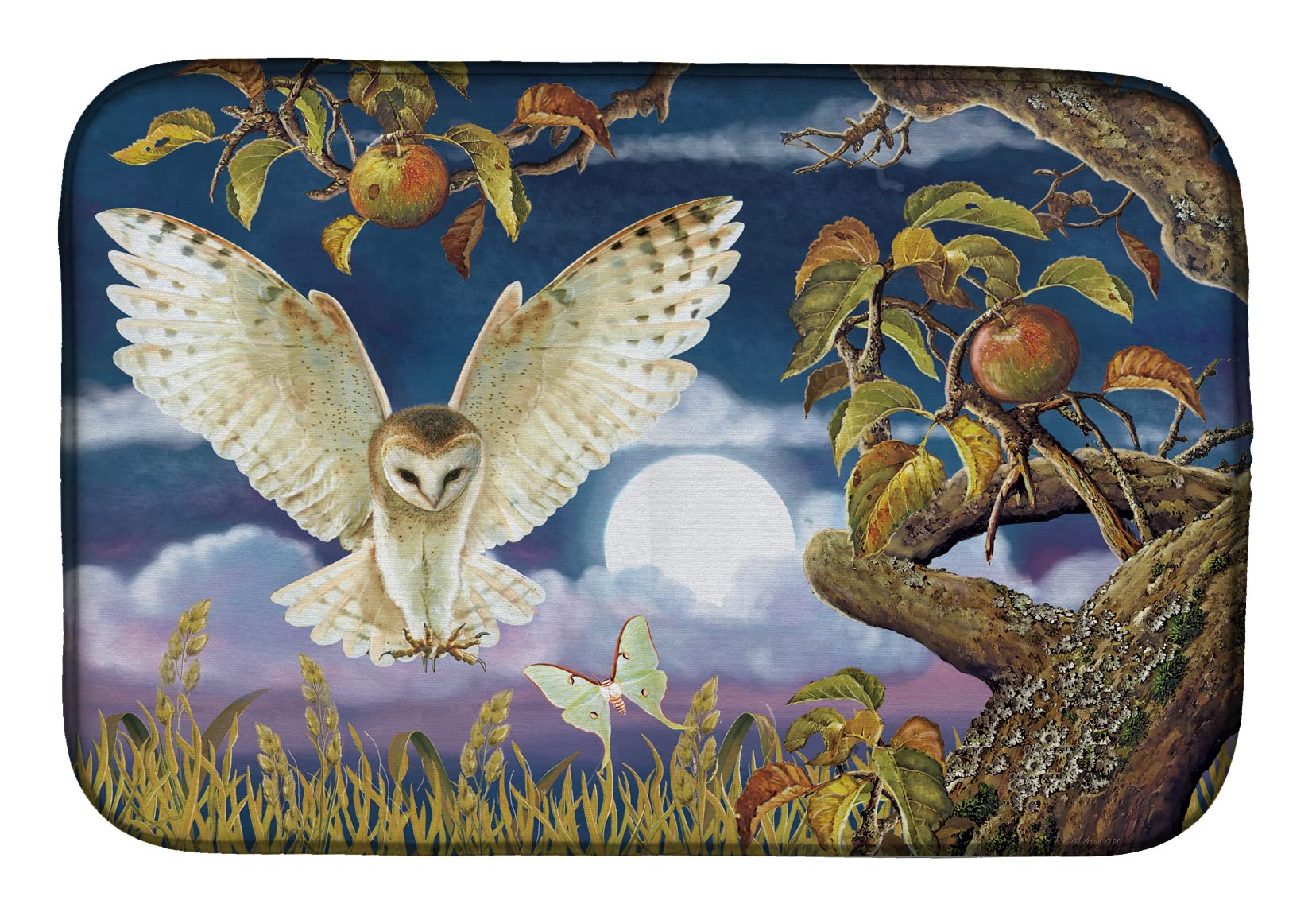 Barn Owl Dish Drying Mat - Absorbent Kitchen Counter Mat (14x21