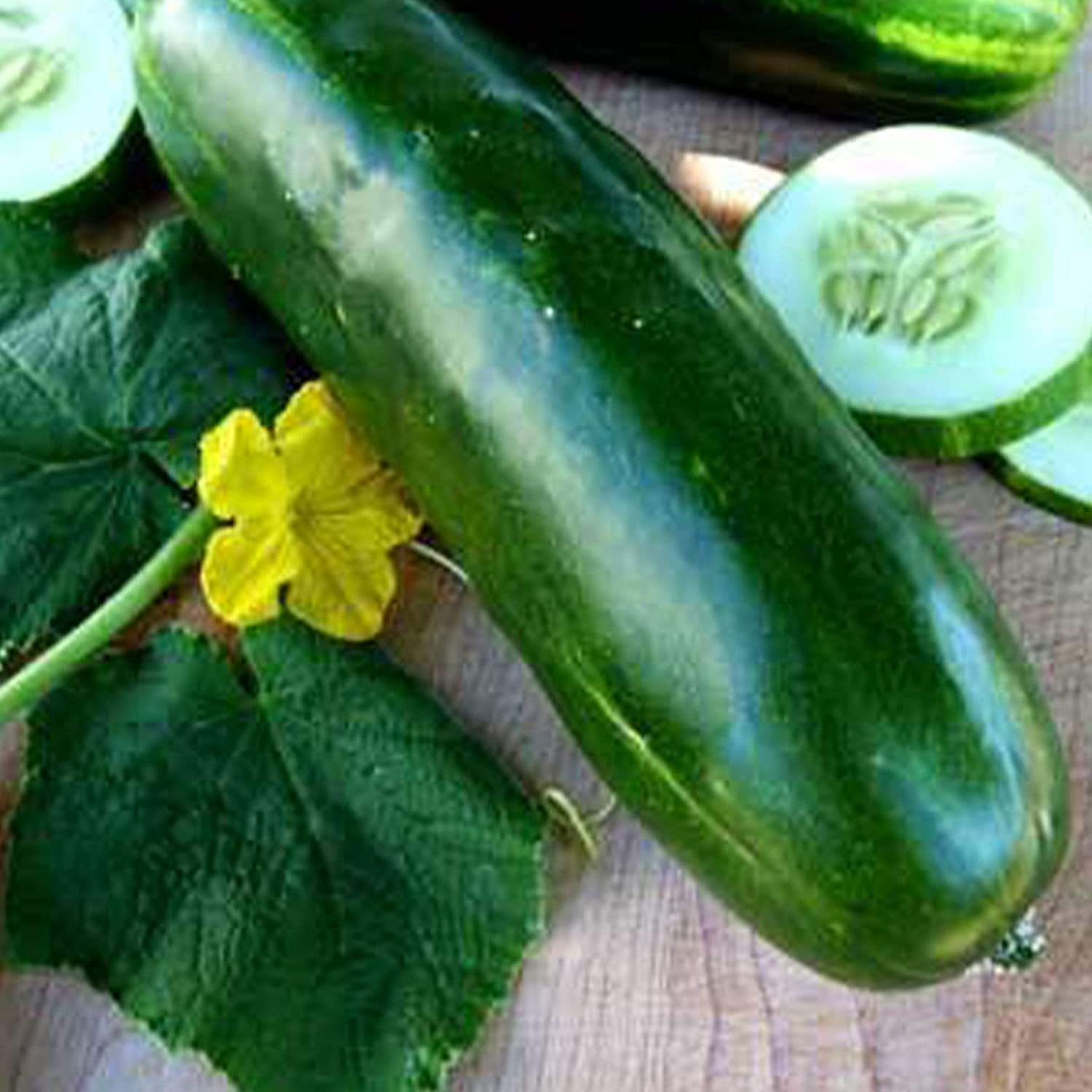 Heirloom Slicing Cucumber Seeds - Non-GMO, Open Pollinated for Farm & Garden