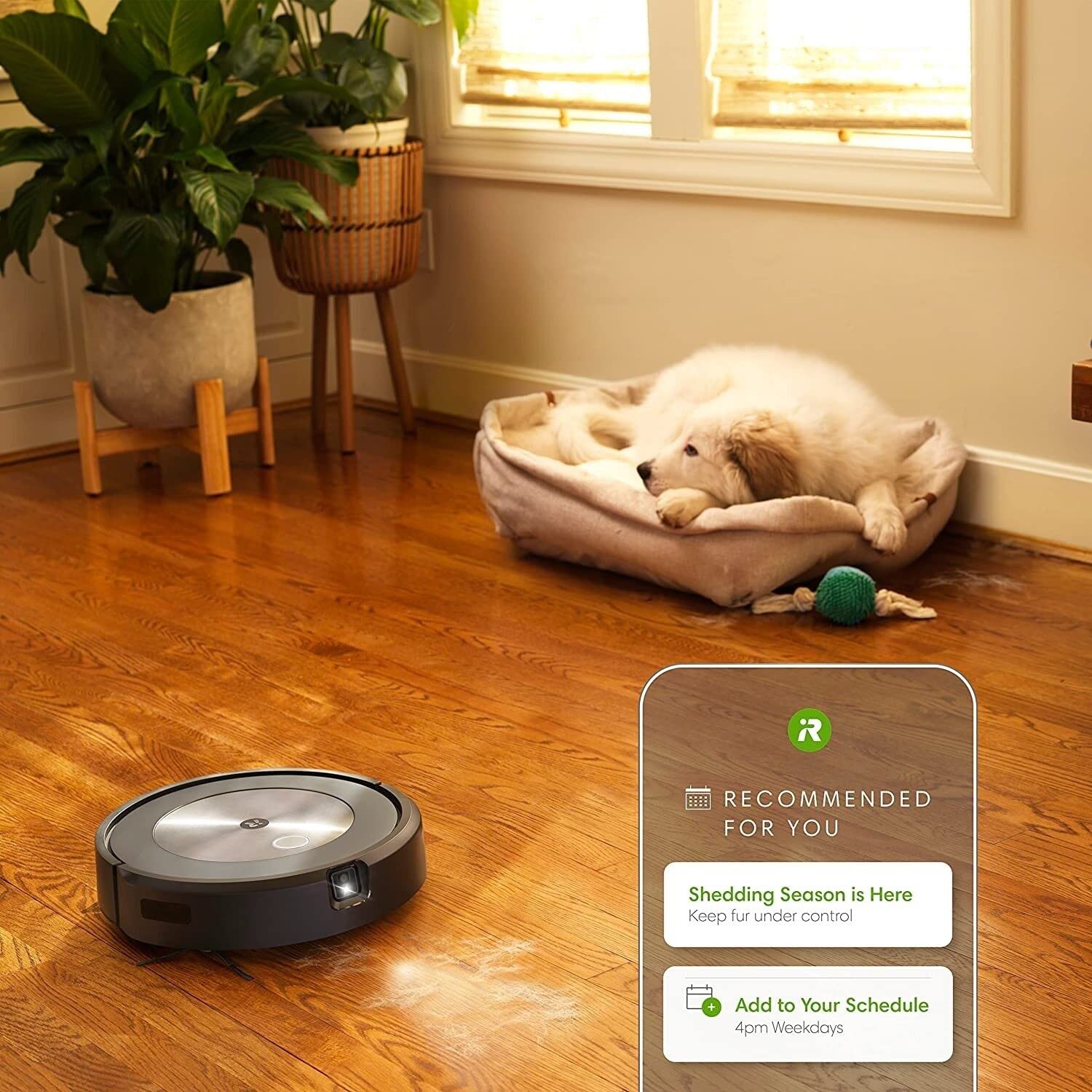 iRobot Roomba j7+ (7550) Self-Emptying Robot Vacuum - Premium Renewed | Smart Mapping, Pet Hair Pickup | Perfect for Hardwood Floors & Carpets