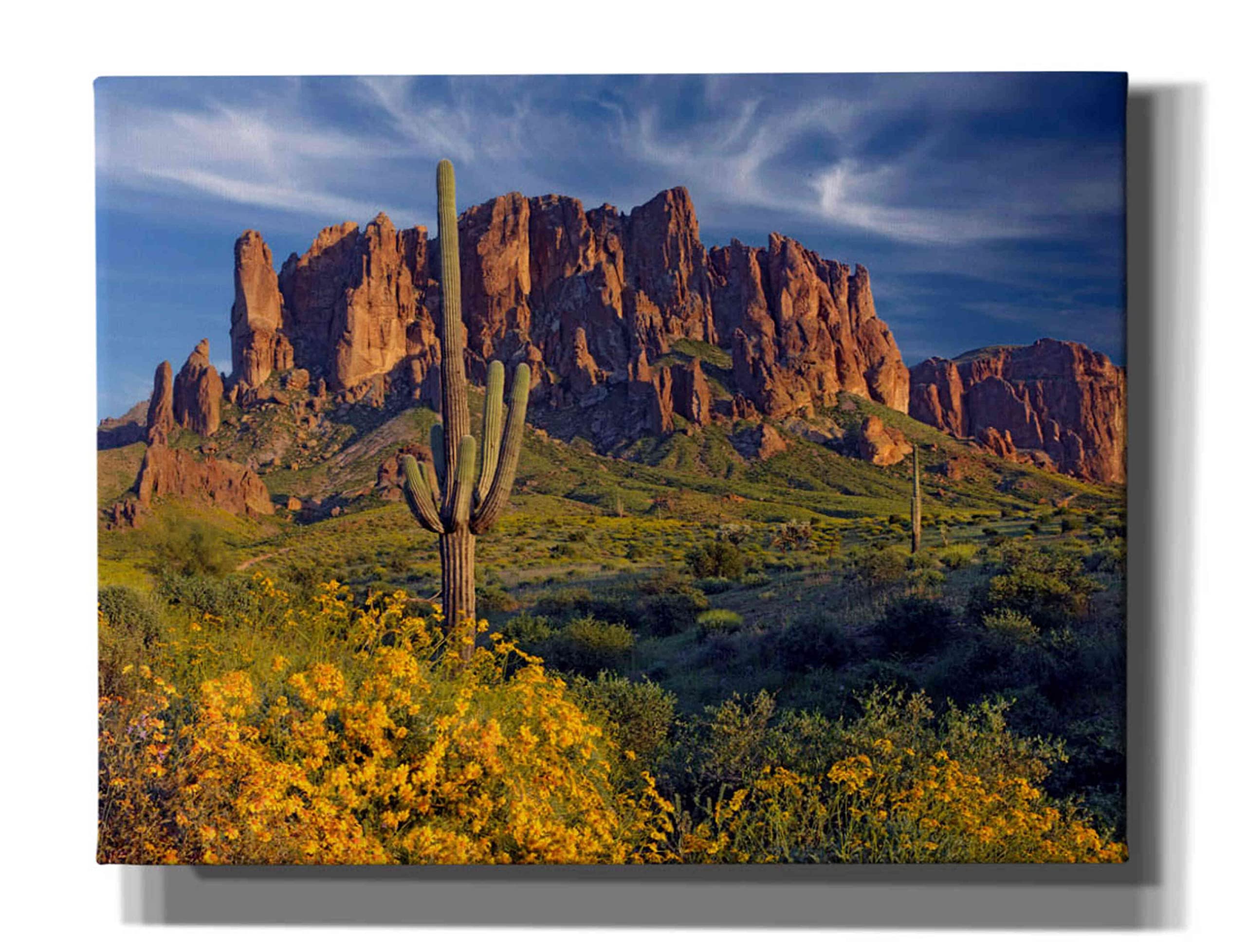 Epic Graffiti 'Lost Dutchman Flowers' by Mike Jones - Premium Giclee Canvas Wall Art Print 34x26 Inches - Modern Home Decor for Living Room, Bedroom & Office