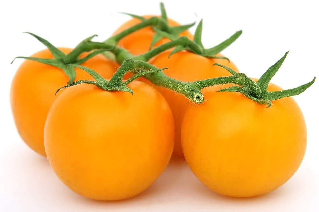 Golden Jubilee Tomato Seeds - 200+ Heirloom, Non-GMO Seeds (Solanum lycopersicum 'Jubilee') by Isla's Garden Seeds - Perfect for Home Gardening, Canning & Fresh Salads