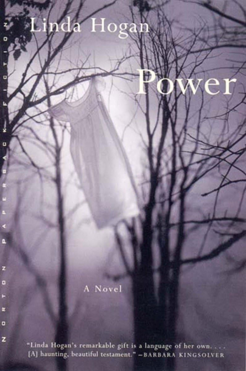 Power: A Novel - Norton Paperback Fiction | Contemporary Literary Fiction for Book Clubs & Reading Enthusiasts