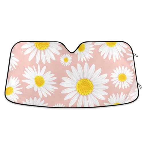 Pink White Daisies Flowers