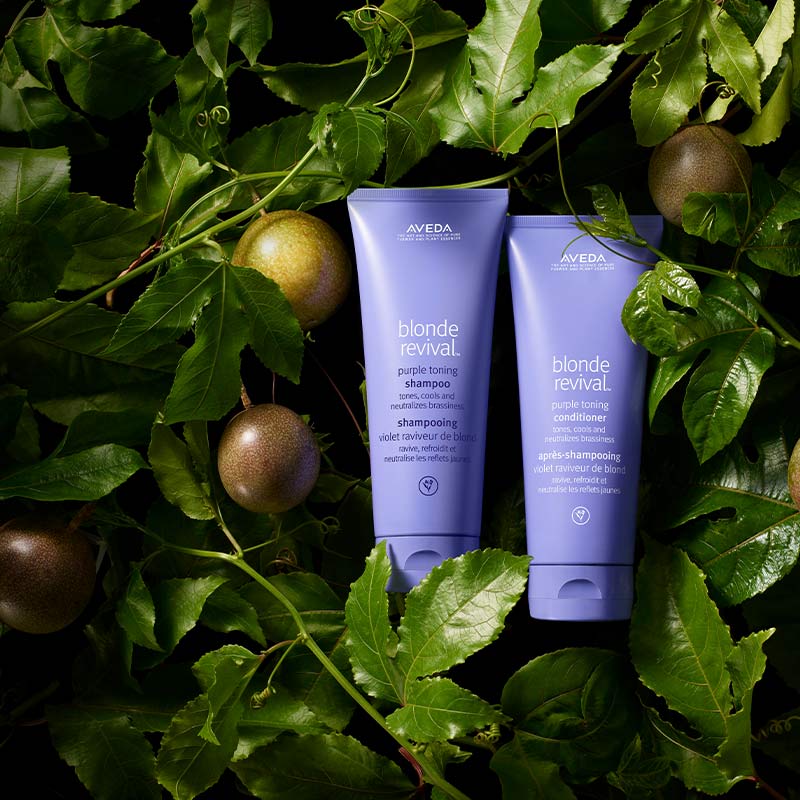Aveda Blonde Revival Purple Toning Shampoo & Conditioner Set for Blonde & Silver Hair - At Home & Travel Bundle | Perfect for Salon-Quality Color Maintenance & UV Protection