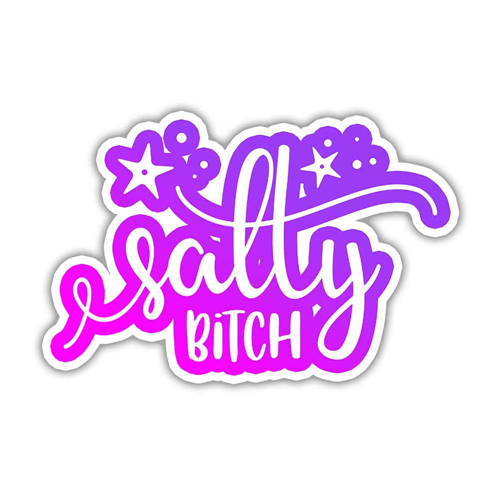 YOU ARE MY SUNSHINE 3-Pack Funny Salty Bitch Stickers - 'Don't Be Salty' Vinyl Decals for Laptop, Water Bottle, Car Bumper, Helmet - 3x4 Inch Waterproof Stickers - Perfect for Gifts, Wall Decor & Window Art