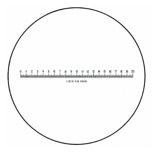 Eschenbach 1152-04 Straight Line Scale - High Precision Measuring Tool for Woodworking, Metalworking & Engineering Projects