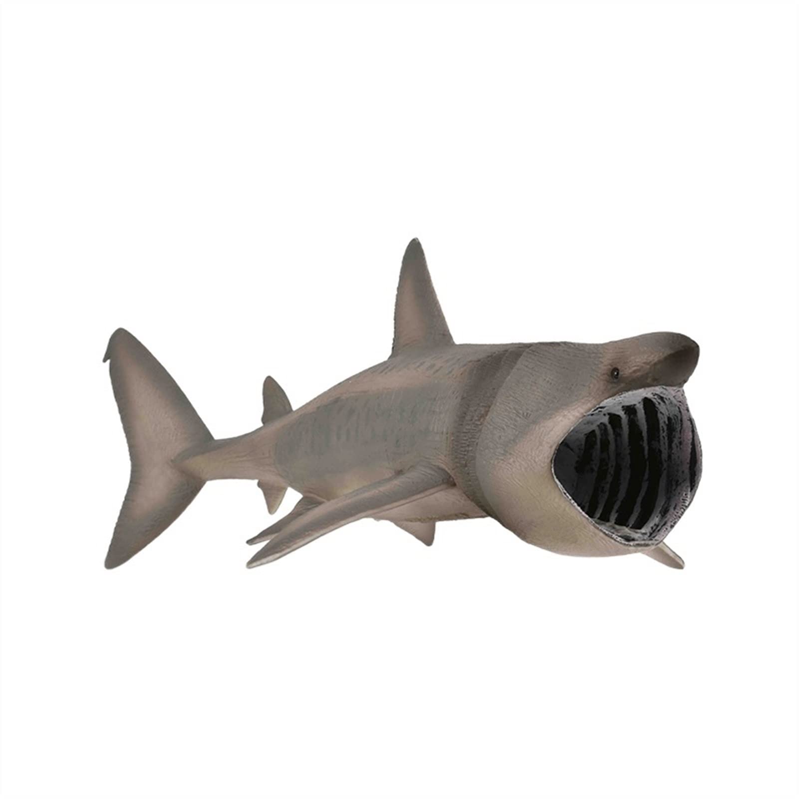 BELLAALONG Realistic Basking Shark PVC Rubber Animal Toy - Static Simulation Figure for Home & Office Decor, Jungle Themed Display | Perfect for Desktop, Shelf, Aquarium & Kids Room Decoration