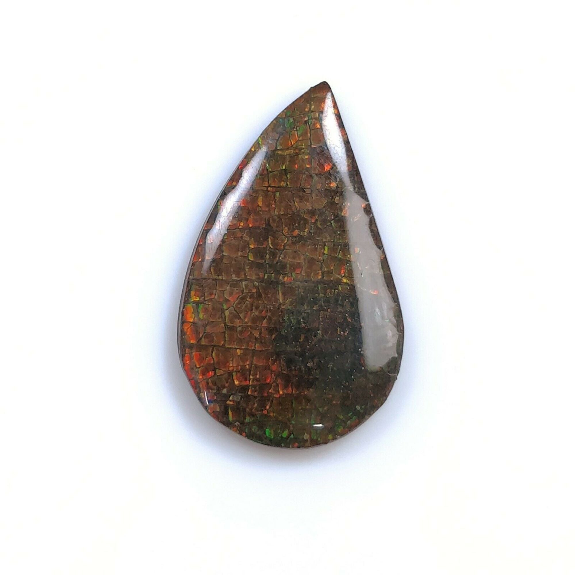 Natural AMMOLITE Gemstone Cabochon - Bi-Color Fossilized Shell Jewelry Making Stone (23x14mm or 36x16mm) for Pendants, Rings & Unique Handmade Jewelry Designs