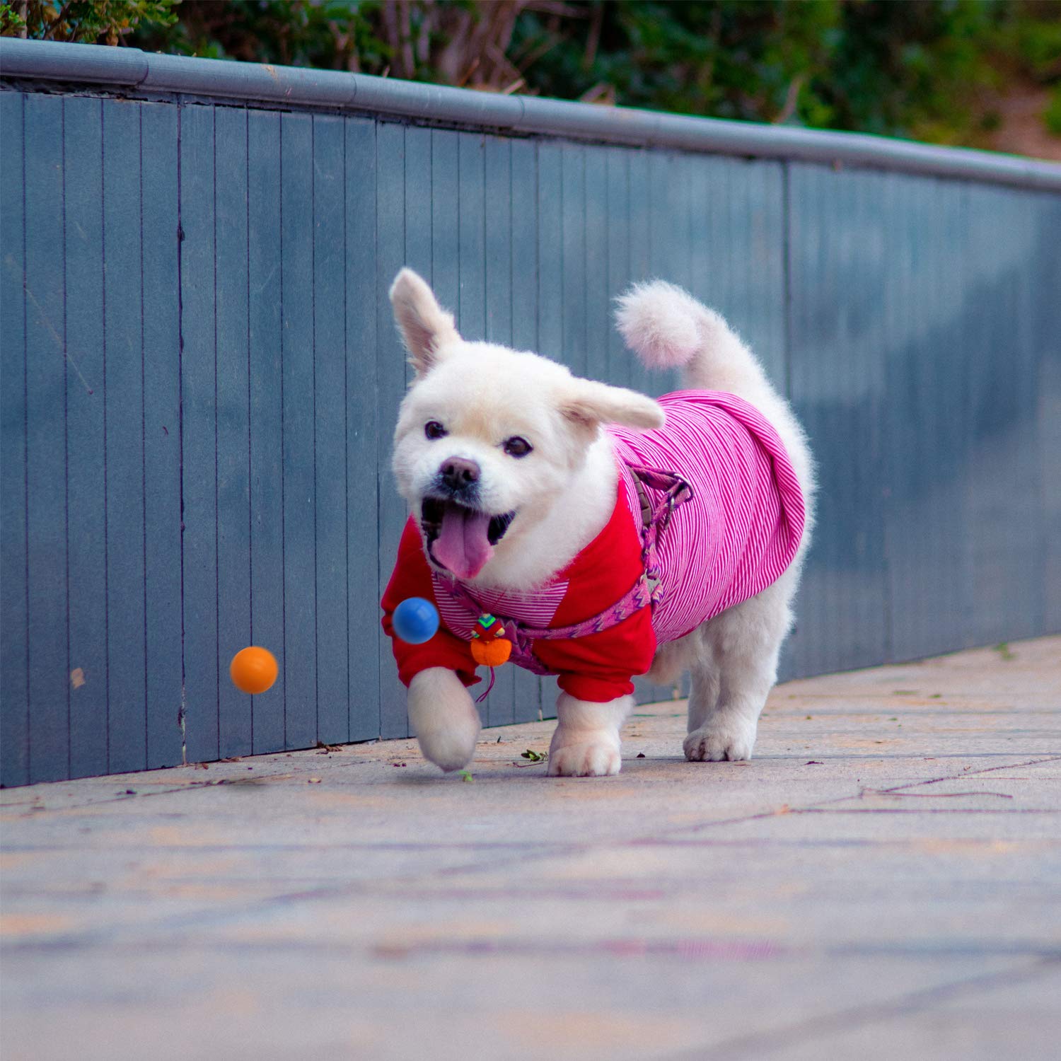 Durable Puppy Chew Toys - Safe Rubber Balls for Teething Dogs | Fetch & Play