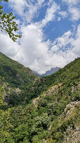 20x30 Inch Laminated Nature Poster - White River Bulgaria Landscape Wall Art with Vibrant Colors - Perfect for Living Room, Bedroom & Office Decor - Eco-Friendly Home Comforts Collection