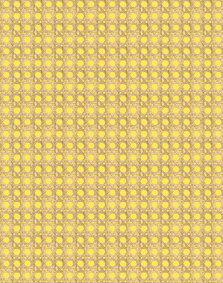 Wallshoppe Faux Caning Wallpaper - Daffodil Design for Vintage & Boho Home Decor | Perfect for Bedroom, Living Room & Dining Room Accent Walls