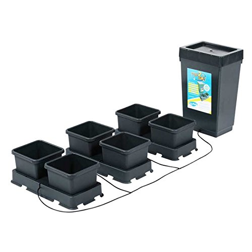AutoPot Easy2Grow Hydroponic System Kit 6 - 3.9 Gallon Self-Watering Pots with 12.4 Gallon Tank, Gravity-Fed Indoor Garden Growing System (Black) - Perfect for Home Herb Gardens, Vegetable Cultivation & Indoor Plant Growth