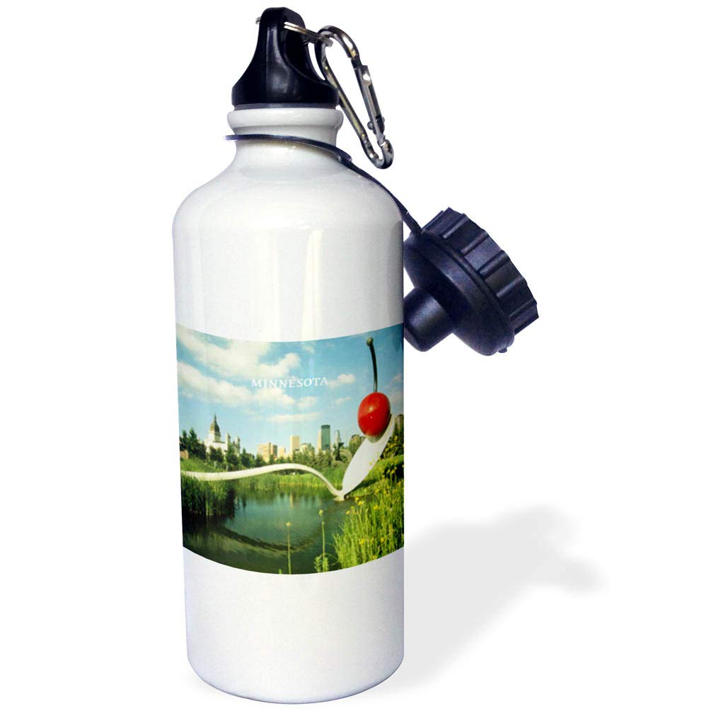 3D Rose Minneapolis Sculpture Garden Sports Water Bottle - 21 oz Insulated Stainless Steel Water Bottle with Straw Lid, Leakproof & Sweatproof - Perfect for Gym, Hiking, Yoga & Outdoor Activities
