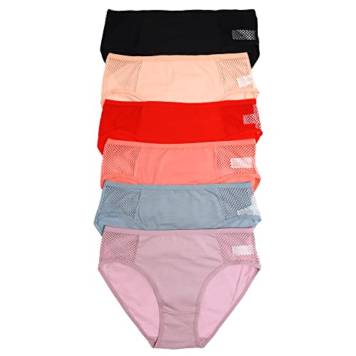 6-pack Double Net Mesh