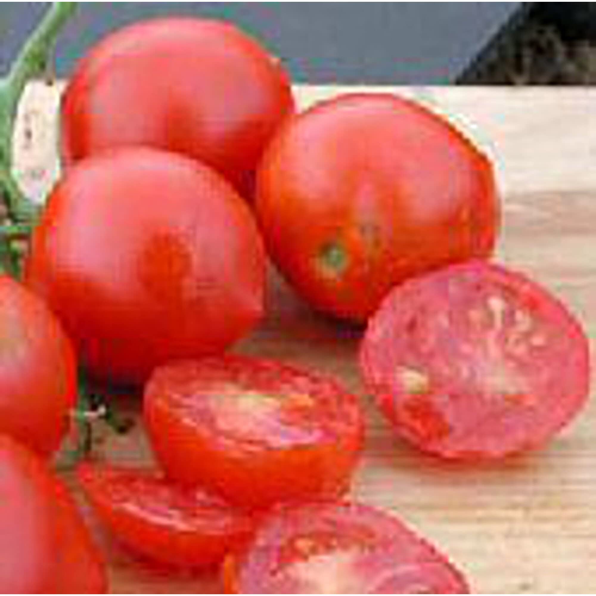 Non-GMO Glacier Tomato Seeds (20+ Seeds) - Heirloom Vegetable & Fruit Seeds for Planting | Home Garden, Greenhouse, Backyard Farming | Fresh Salad, Cooking, Canning