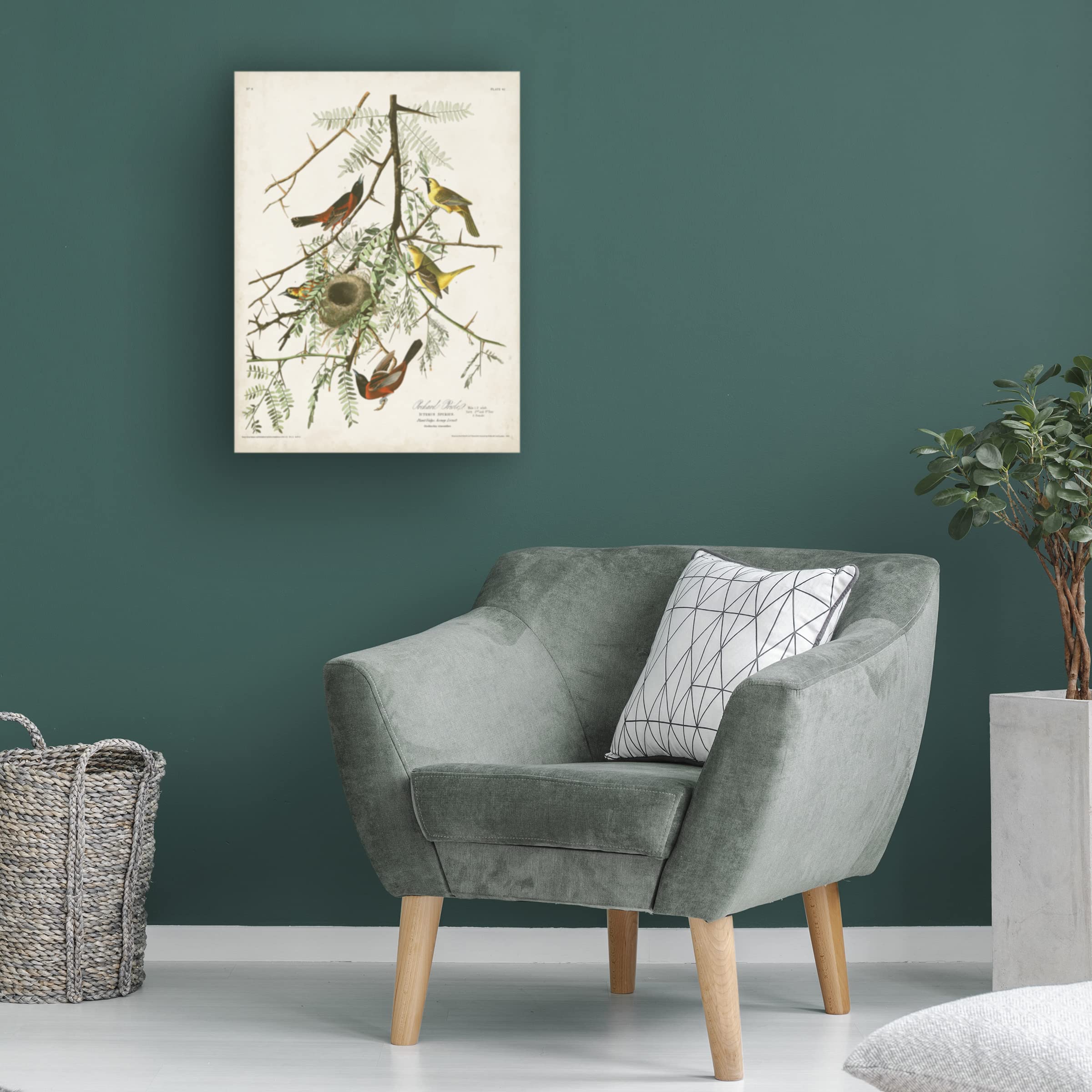 John James Audubon 'Orchard Oriole' Fine Art Canvas Print - 35x47 Inch Wall Decor for Living Room, Bedroom & Office