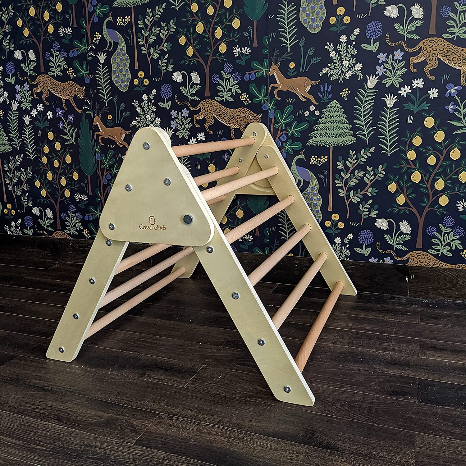 CASSAROKIDS Natural Wood Foldable Climbing Triangle for Toddlers - Small Size | Indoor & Outdoor Montessori Play Gym for Kids Ages 1-5 Years