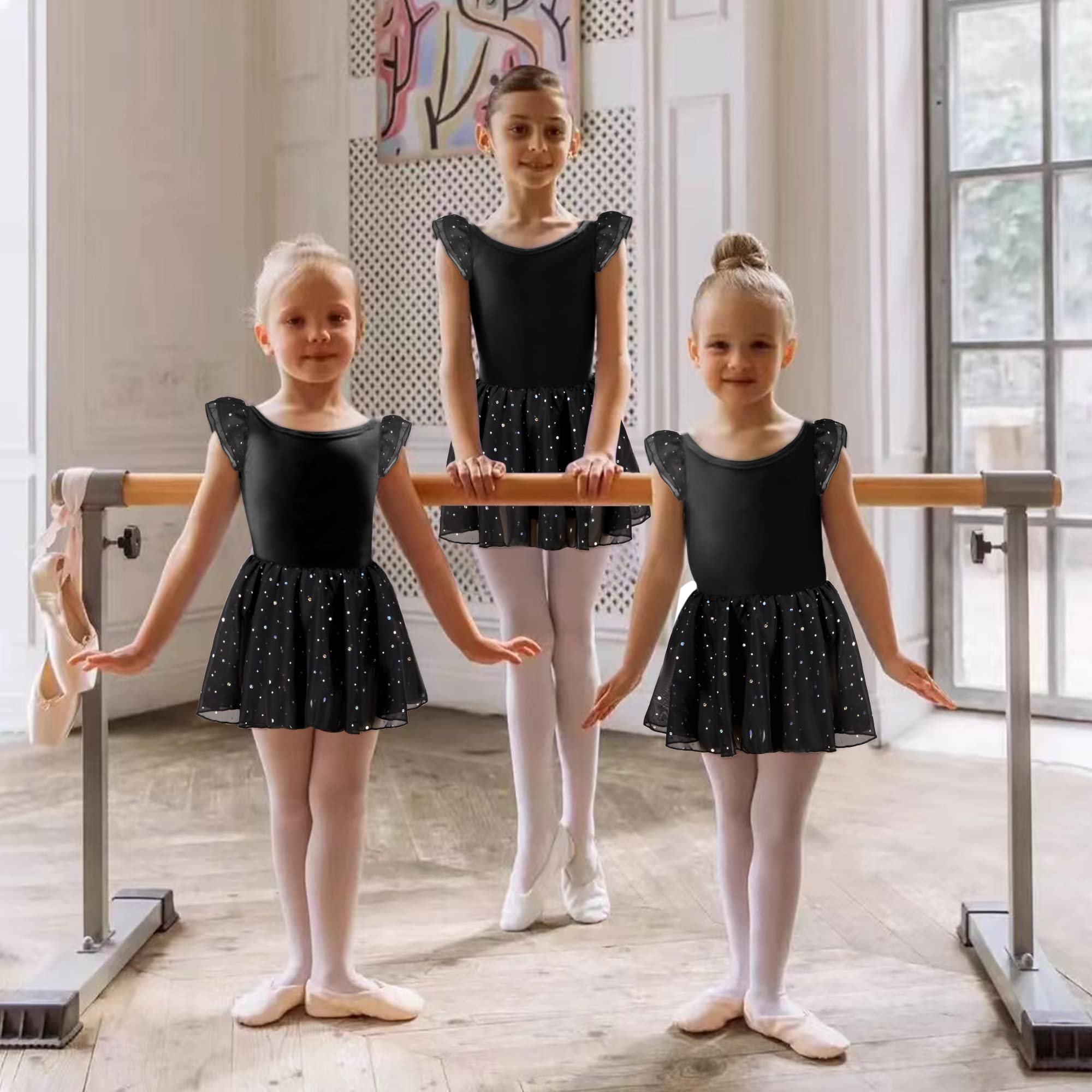 DANSHOW Girls Ballet Leotard with Glitter, Tutu Skirt & Petal Sleeves - Sparkly Dance Costume for Recitals, Performances & Ballet Practice