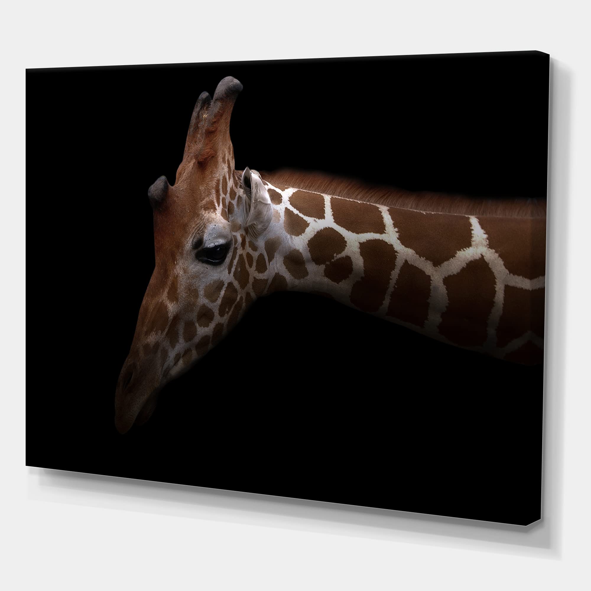 Giraffe Portrait IV - Farmhouse Canvas Wall Art Decor for Living Room, Bedroom & Office - Modern Animal Print Home Decor