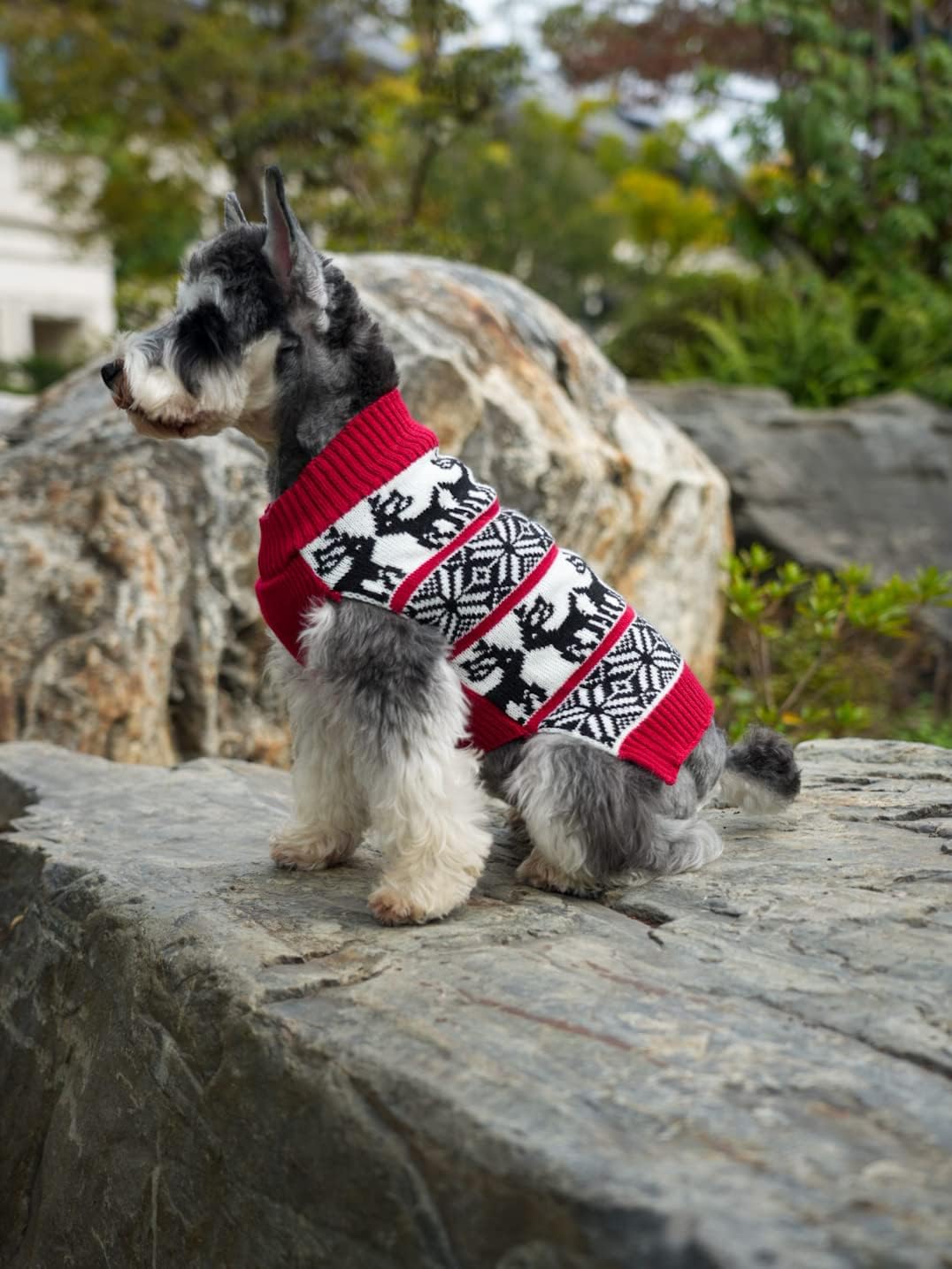 Vintage Knit Ugly Christmas Dog Sweater - Reindeer Holiday Festive Pet Apparel for Small Dogs (Back 12