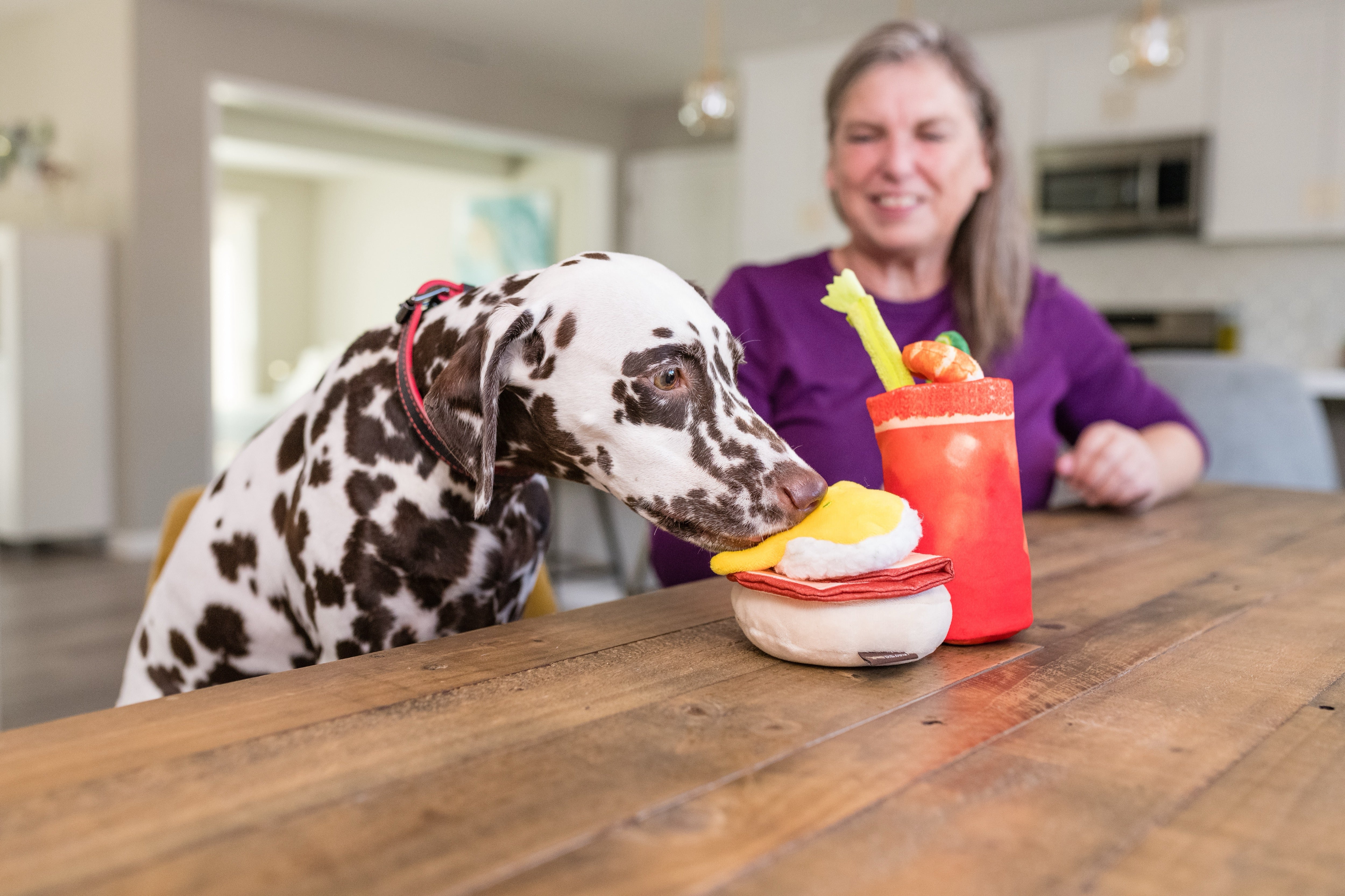 El Egg Benedict Plush Dog Toy - Barking Brunch™ Collection by Pet P.L.A.Y. | Soft & Durable Chew Toy for Small & Medium Dogs | Perfect for Playtime, Training & Cuddling